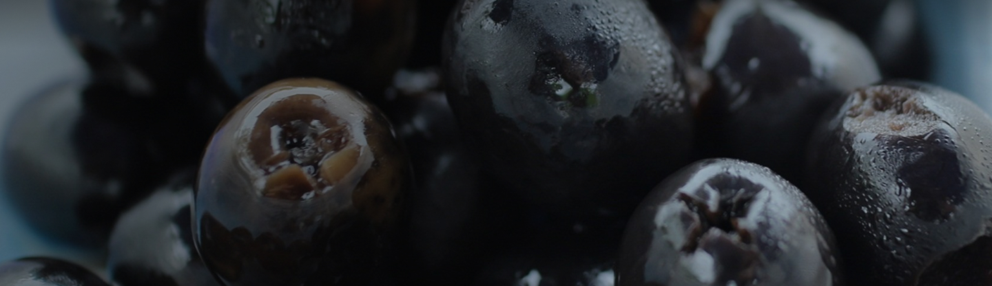 Organic Pitted Kalamata Olives