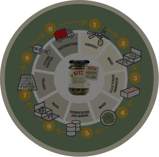 Star - Green Olives - Infographic