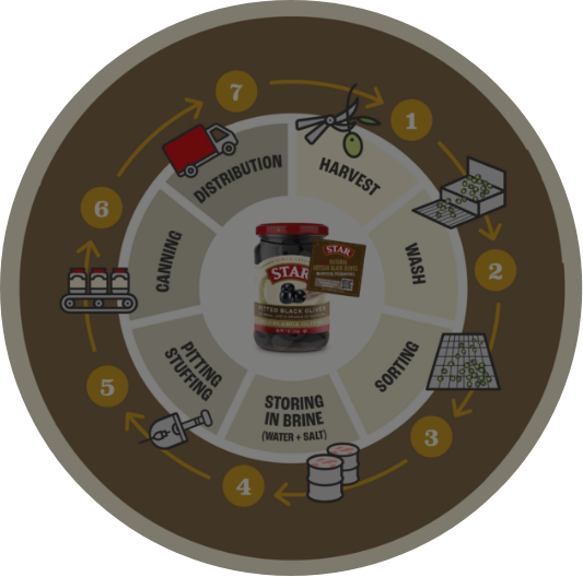 Star - Black Olives - Infographic